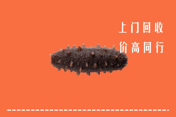 高价求购：桂阳县回收海参