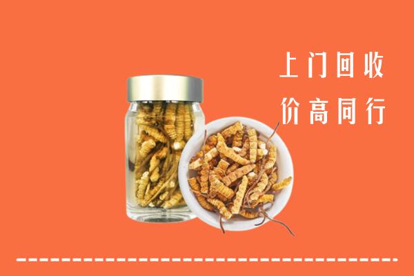 桂阳县回收冬虫夏草